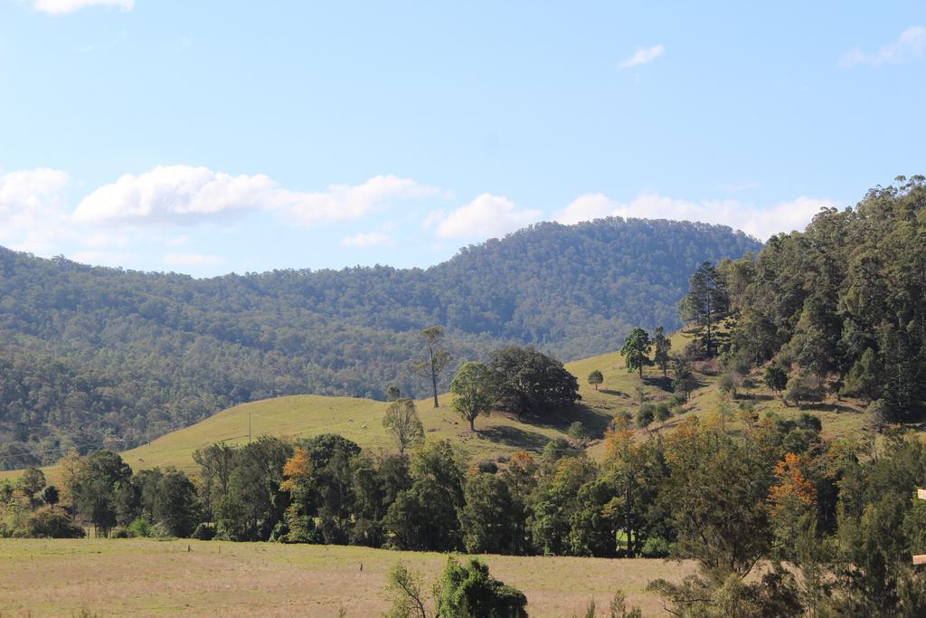 Greenlee Cottages Canungra Eksteriør billede