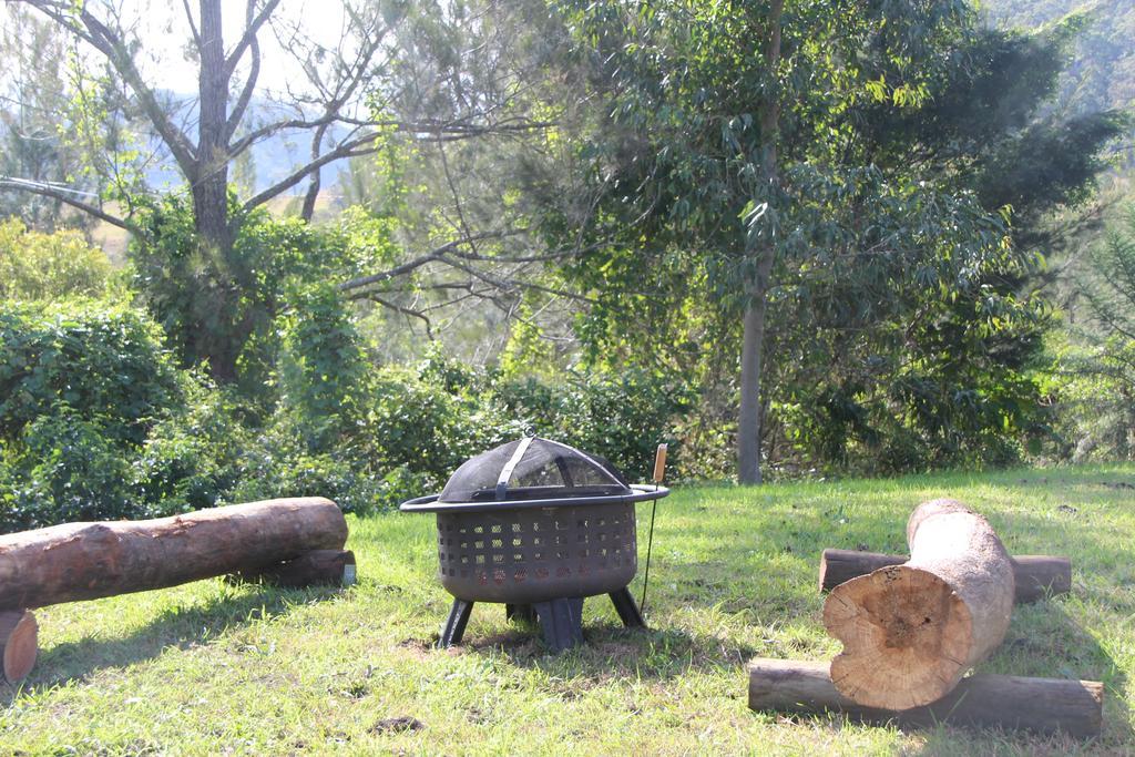 Greenlee Cottages Canungra Eksteriør billede